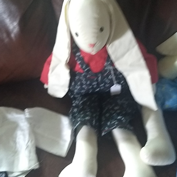 Bunny rabbit - Picture 3 of 6